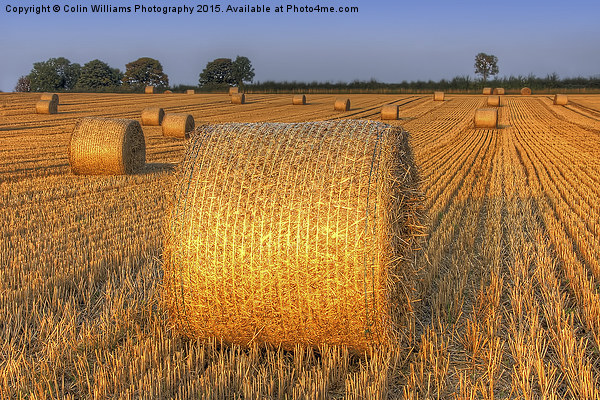  Bales at Sunset 4 Picture Board by Colin Williams Photography