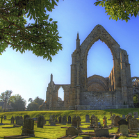 Buy canvas prints of    Bolton Abbey 4 by Colin Williams Photography