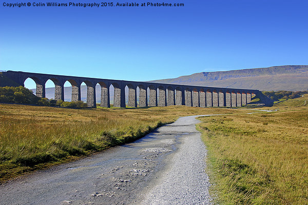  The Ribblehead Viaduct 6 Picture Board by Colin Williams Photography
