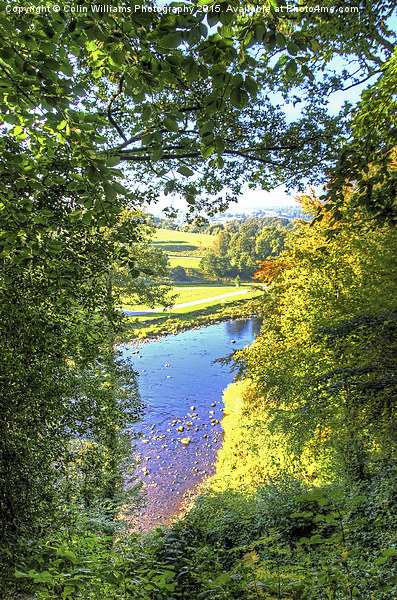  The River Wharf Bolton Abbey Picture Board by Colin Williams Photography