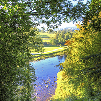 Buy canvas prints of  The River Wharf Bolton Abbey by Colin Williams Photography