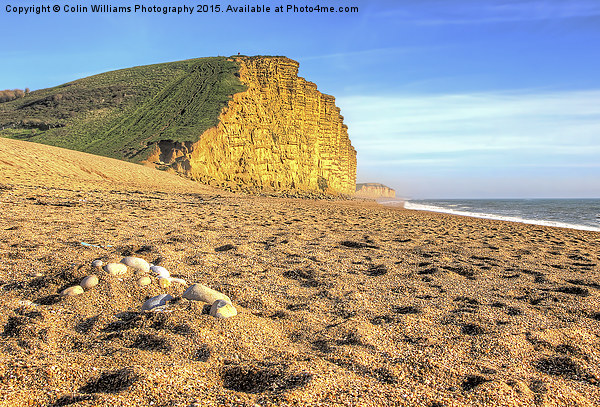 West Bay Dorset  Broadchurch 2 Picture Board by Colin Williams Photography