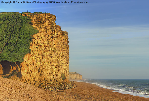West Bay Dorset  Broadchurch 4 Picture Board by Colin Williams Photography