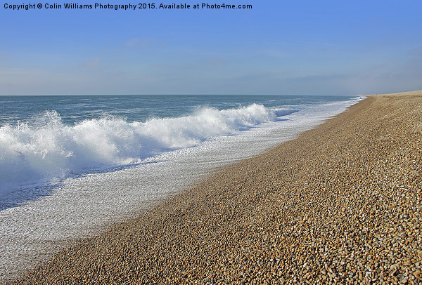   Chesil Beach Portland Dorset 3 Picture Board by Colin Williams Photography