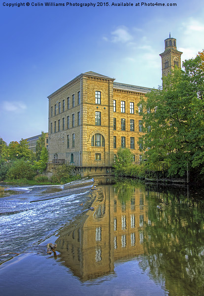  Salts Mill 2 Picture Board by Colin Williams Photography