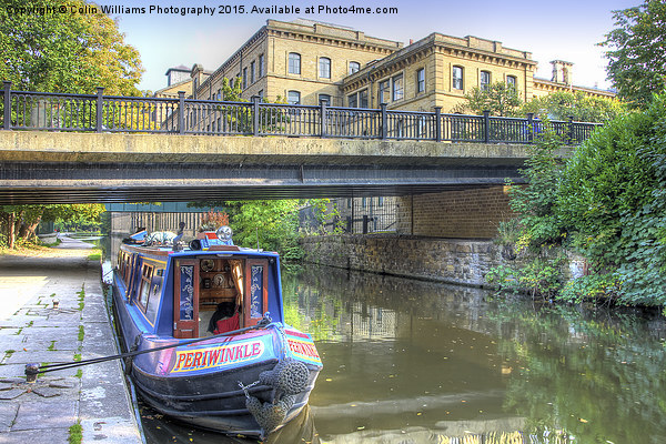   Salts Mill and The Canal Picture Board by Colin Williams Photography