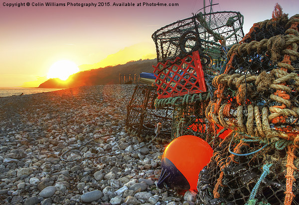  Sunset And Lobster Pots Lyme Regis Picture Board by Colin Williams Photography