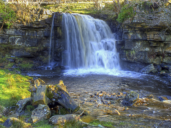  East Gill Force, Keld, Yorkshire Dales Picture Board by Colin Williams Photography