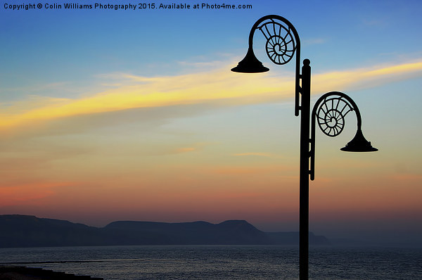  Evening Light Lyme Regis  Picture Board by Colin Williams Photography