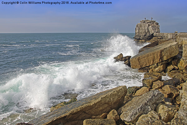  Pulpit Rock Portland Bill 1 Picture Board by Colin Williams Photography