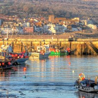 Buy canvas prints of Lyme Regis Harbour  by Colin Williams Photography