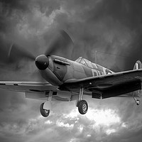 Buy canvas prints of Guy Martin`s Spitfire on Finals Duxford 2015 2 BW by Colin Williams Photography