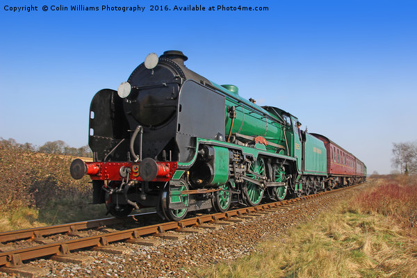 925 Cheltenham Below Ropley Picture Board by Colin Williams Photography