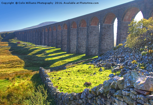 The Ribblehead Viaduct 7 Picture Board by Colin Williams Photography