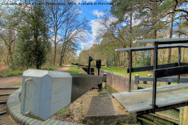 Deepcut locks Basingstoke Canal 1 Picture Board by Colin Williams Photography