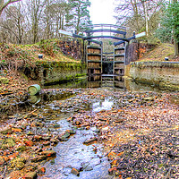 Buy canvas prints of Deepcut locks Basingstoke Canal 4 by Colin Williams Photography