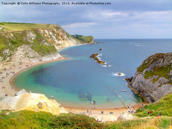 Man O War Bay Lulworth Cove Picture Board by Colin Williams Photography