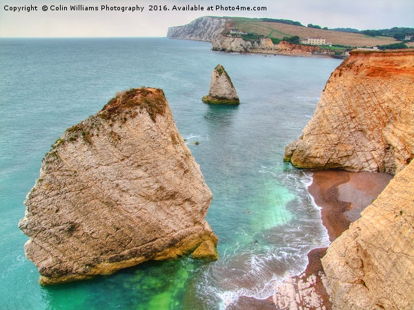 Freshwater Bay Isle of Wight Picture Board by Colin Williams Photography