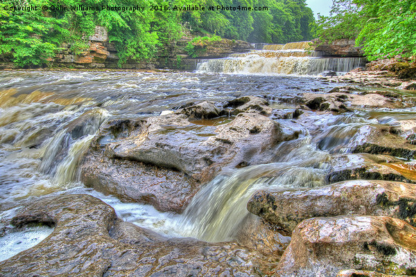 Lower Falls Aysgarth 1 - Yorkshire Dales Picture Board by Colin Williams Photography
