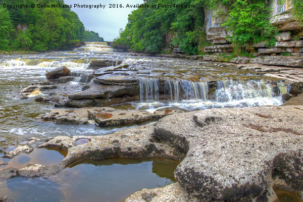 Lower Falls Aysgarth 2 - Yorkshire Dales Picture Board by Colin Williams Photography
