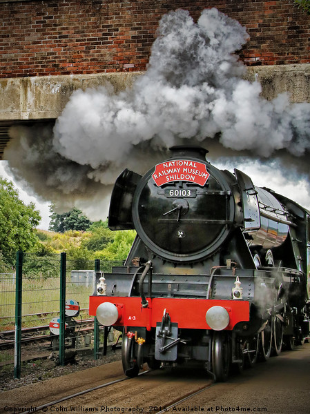 The Return Of The Flying Scotsman NRM Shildon 1 Picture Board by Colin Williams Photography