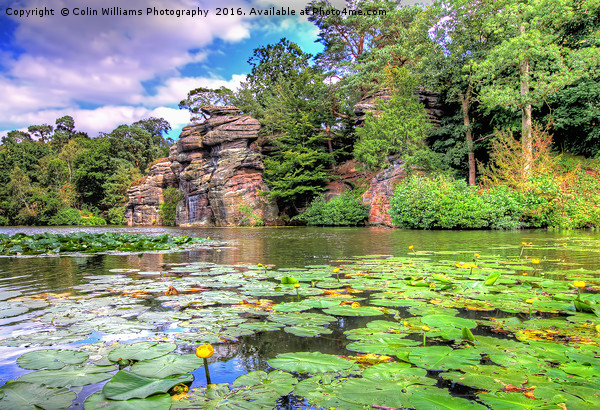 Plumpton Rocks North Yorkshire 1 Picture Board by Colin Williams Photography