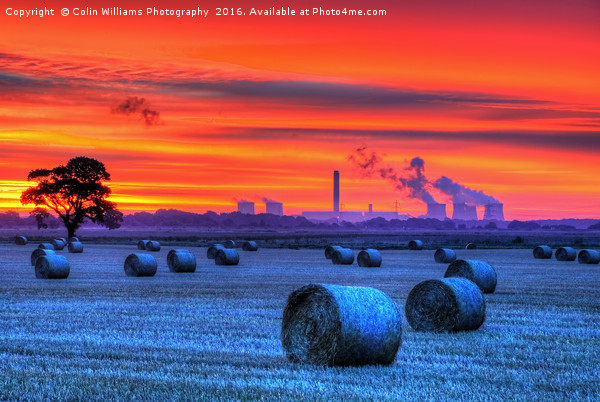 Sunrise over Drax, Yorkshire 2 Picture Board by Colin Williams Photography