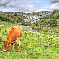 Buy canvas prints of The Cliffs Of Malham Cove 1 by Colin Williams Photography