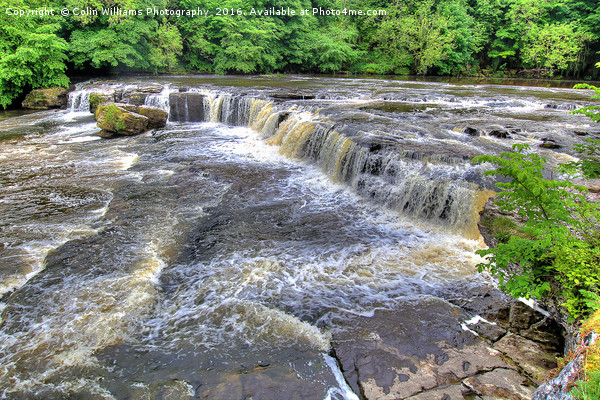 Upper Falls Aysgarth 3 - Yorkshire Dales Picture Board by Colin Williams Photography