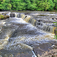 Buy canvas prints of Upper Falls Aysgarth 3 - Yorkshire Dales by Colin Williams Photography