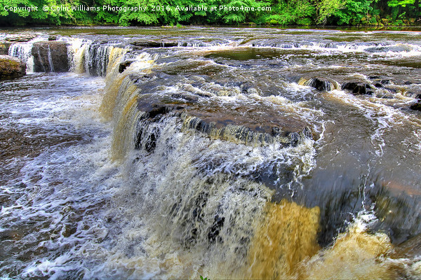 Upper Falls Aysgarth 4 - Yorkshire Dales Picture Board by Colin Williams Photography