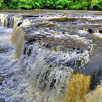 Buy canvas prints of Upper Falls Aysgarth 4 - Yorkshire Dales by Colin Williams Photography