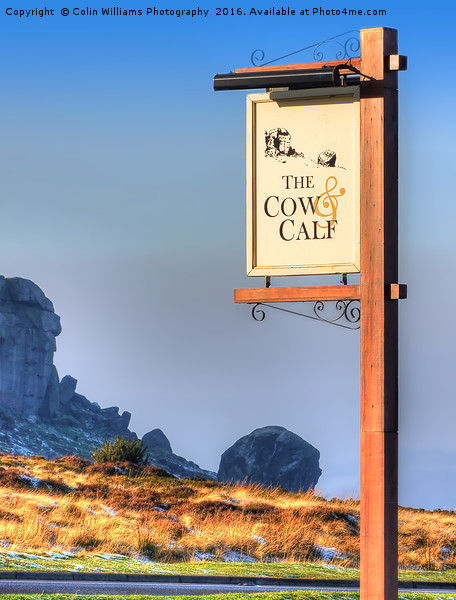 The Cow And Calf  Ilkley Picture Board by Colin Williams Photography