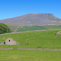 Buy canvas prints of Pen-y-ghent North Yorkshire - 2 by Colin Williams Photography