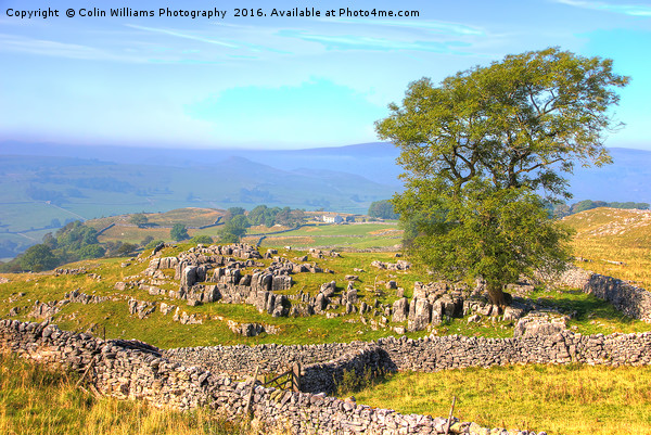 The Road to Malham Picture Board by Colin Williams Photography