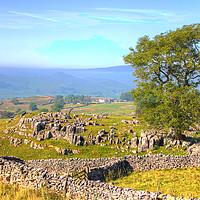 Buy canvas prints of The Road to Malham by Colin Williams Photography