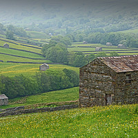 Buy canvas prints of The Barns of Swaledale Yorkshire. by Colin Williams Photography