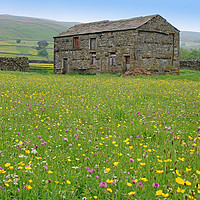 Buy canvas prints of The Summer Meadows of Swaledale by Colin Williams Photography