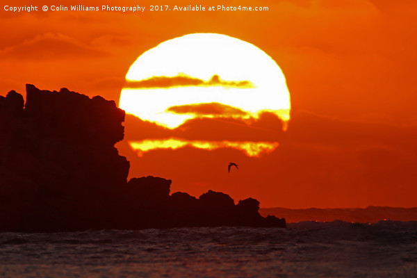 Sunset and Surf Kalbarri Western Australia Picture Board by Colin Williams Photography
