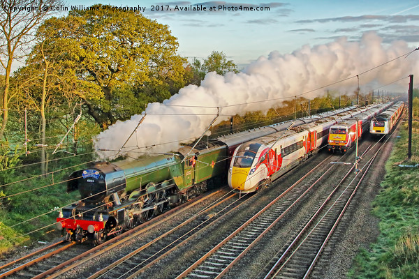 Flying Scotsman and the Four Trains Picture Board by Colin Williams Photography