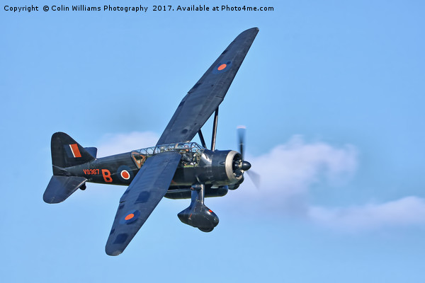 1938 WESTLAND LYSANDER - 1 Picture Board by Colin Williams Photography