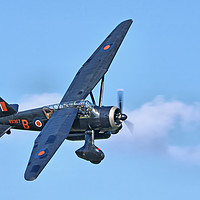 Buy canvas prints of 1938 WESTLAND LYSANDER - 1 by Colin Williams Photography