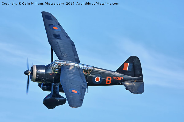 1938 WESTLAND LYSANDER - 2 Picture Board by Colin Williams Photography