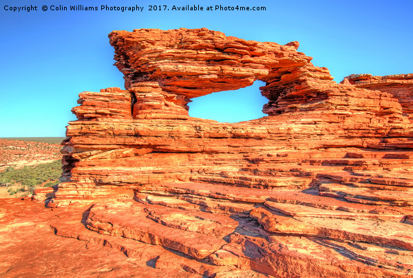 Natures Window Kalbarri National Park  1 Picture Board by Colin Williams Photography