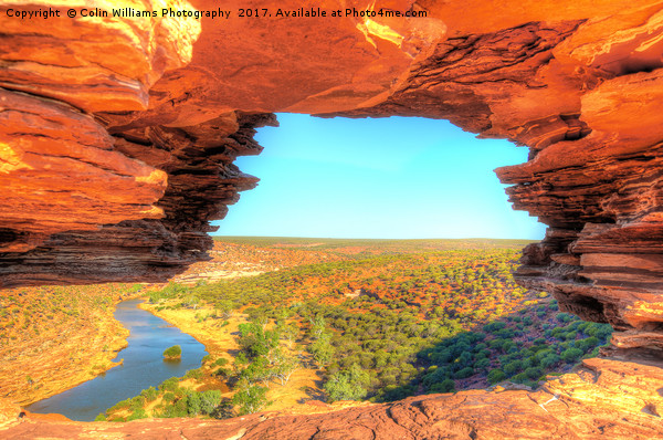 Natures Window Kalbarri National Park  4 Picture Board by Colin Williams Photography
