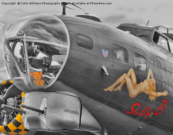 Memphis Belle Known as Sally B - 2 Picture Board by Colin Williams Photography
