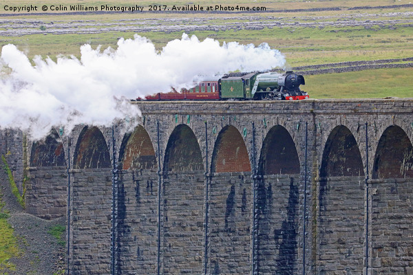 Flying Scotsman At The Ribblehead Viaduct Picture Board by Colin Williams Photography