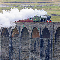 Buy canvas prints of Flying Scotsman At The Ribblehead Viaduct by Colin Williams Photography