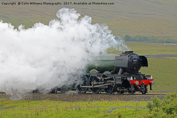 Flying Scotsman At The Ribblehead Viaduct 3 Picture Board by Colin Williams Photography
