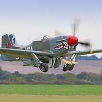 Buy canvas prints of Mustang Scramble - Duxford 2 by Colin Williams Photography